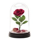 Beauty and the Beast Enchanted Rose Light 20cm (PP4344DP)
