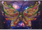 5D Diamond Painting Kit - Coloured Butterfly (30 x 40 cm)