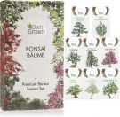OwnGrown Bonsai seed set: Premium Bonsai Starter Kit with 7 Varieties, for Mini and Zen Gardens 